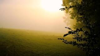4Mal Feat. Ani - Layered Feelings (J. Velarde Remix)