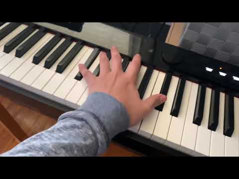 Yamaha P45 vs Casio PXS1000 | Honest Review