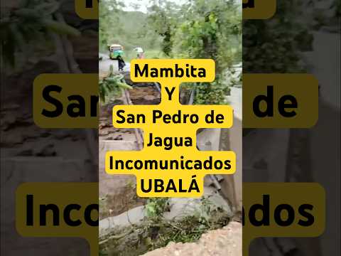 🌧️ Fuerte creciente destruye paso en Ubalá, Cundinamarca | San Pedro de Jagua y Mambita aisladas