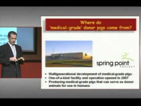 Is There a Pig in Your Future? Bernard Hering, M.D. at TEDxDelMar