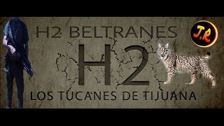 H2 BELTRANES - LOS LOS TUCANES DE TIJUANA (2015)