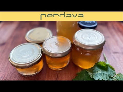 Zitronenmelisse Gelee selber machen – frisch, fruchtig & 1 Jahr haltbar 🍋🫙