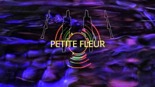 PETITE FLEUR -Angelique Kidjo - 3D - 23/07/2012