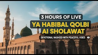 Download lagu 3 HOURS OF LIVE YA HABIBAL QOLBI AI SHOLAWAT | DEVOTIONAL NASHEED WITH PEACEFUL VIBES mp3 Download lagu 3 HOURS OF LIVE YA HABIBAL QOLBI AI SHOLAWAT | DEVOTIONAL NASHEED WITH PEACEFUL VIBES mp3