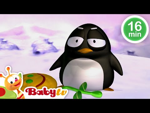 Play Together with Pim & Pimba the Penguins  ????​????​ | Kids Cartoon ????​​ | @BabyTV​
