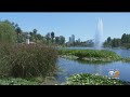 'It Looks Amazing': Echo Park Lake Reopens After Cleanup, Relocation Of Unhoused Residents