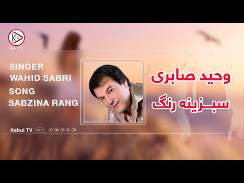 از آهنگ های قدیمی افغانی مجلسی به آواز وحید صابری سبزینه رنگ | wahid saberi sabzina rang