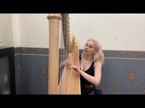 P.I.Tchaikovsky - Swan Lake Cadenza