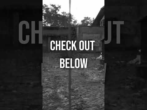 Sad introspective Dark Electronica - Triphop - Downtempo - Alan McLaren Project - Fighting Hell