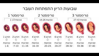מפלת סמוך לארבעים - סימן קצ"ד סעיף ב'