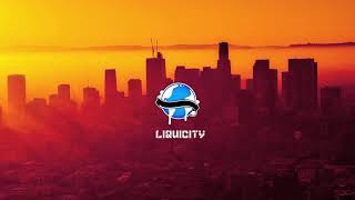 Camo & Krooked - Slow Down ft. ROBB (Fred V & Grafix Remix)