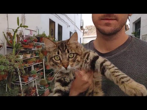 Matt Neiman from Biomimicry Granada Shares Connection with Community