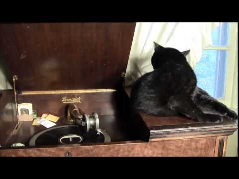 Maytime, Bennie Kruger's Orchestra