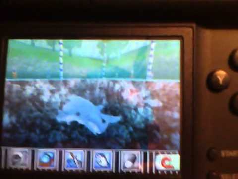 Fish Tycoon Nintendo DS