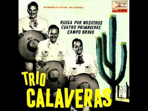 trio calaveras   campo bravo