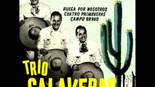 trio calaveras   campo bravo