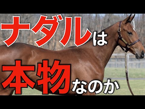 種付け料1000万円は妥当なのか？新種牡馬ナダルの実力を徹底分析。