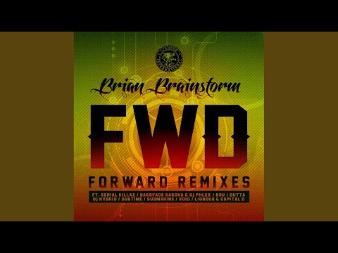 Inside The Vaults (Bassface Sascha & DJ Phlex Remix)