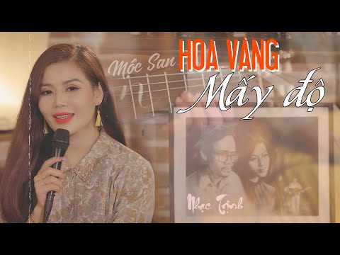 NHẠC TRỊNH HAY || Hoa Vàng Mấy Độ - Mộc San (St Trịnh Công Sơn) || Official MV 4k