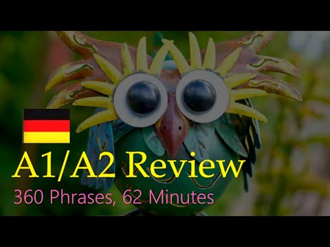 360+ MUST-KNOW German Basic Phrases in JUST 1 HOUR