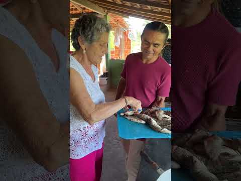 Fritando peixe pro café da manhã #sitiolagoverde
