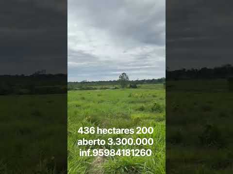 fazendinha no Caroebe estado de Roraima a apenas 6 km do asfalto ja tem escritura valor 3.300,000