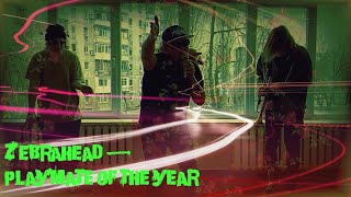 Zebrahead - Playmate of the Year (cover)