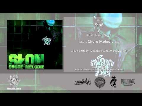06. Słoń - 6 (prod. Grant/ Mikser)