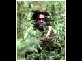 Peter Tosh -Nobody's Business