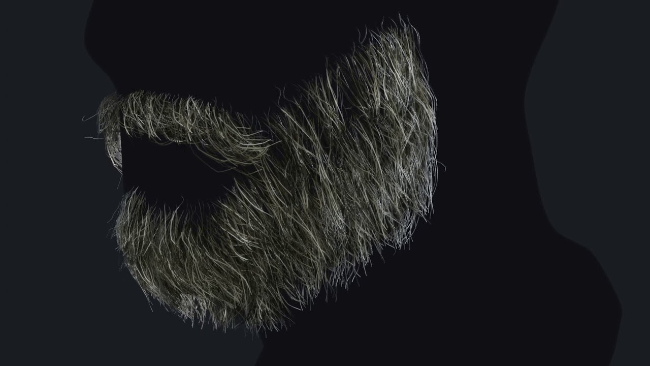 Barbe en temps r&eacute;el 1 Modèle 3D