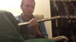 Polly wants a crackrock