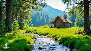 Healing Music For The Heart And Blood Vessels 🌿 Stop Overthinking, Healing Music