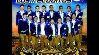 Banda Los Recoditos Cd completo 2013  