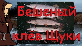 Рыбалка на жерлицы в ноябре