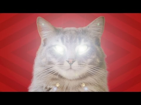 YOUR CAT IS CONTROLLING YOU! | BRITLAB