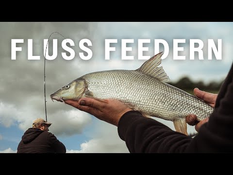 So fängst du am Fluss! Feedern an der Ijssel