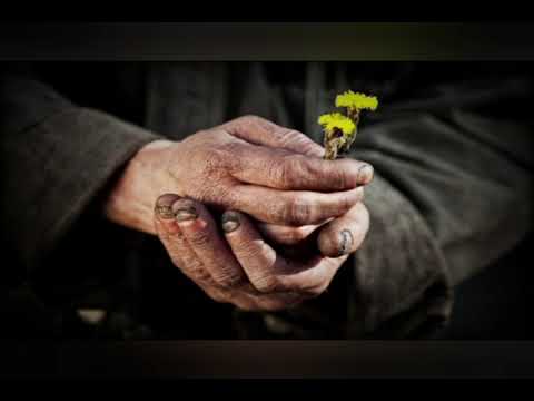 Pater Arek Krasicki CSSp : SNR#23 Slobodan dan od saća.