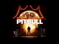 Pitbull ft Akon & David Rush - Everybody Fucks ...
