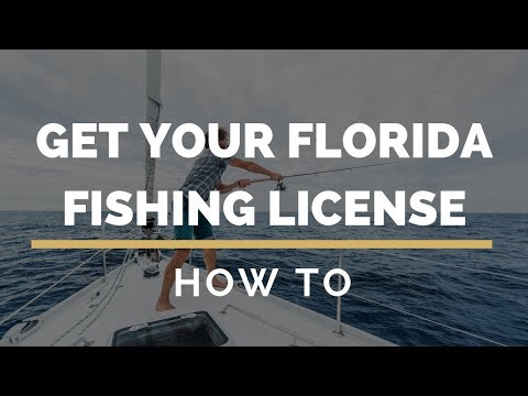 download lagu mp3 mp4 Florida Fishing License Online, download lagu Florida Fishing License Online gratis, unduh video klip Florida Fishing License Online