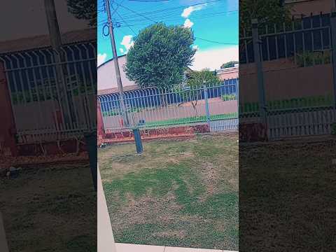 Assis Chateaubriand PR, conhecem #ccbhinos #ccb #musicosccb #hinosccborquestrado #hinosccb #parana