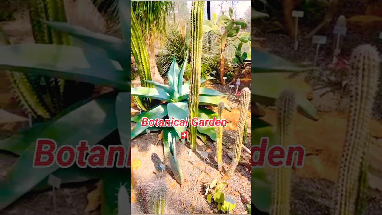 YouTube Short thumbnail