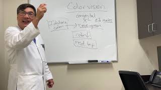 Color vision testing