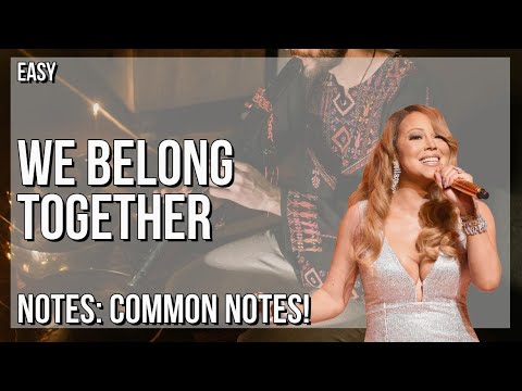 How to play We Belong Together by Mariah Carey on Tin Whistle (Tutorial)