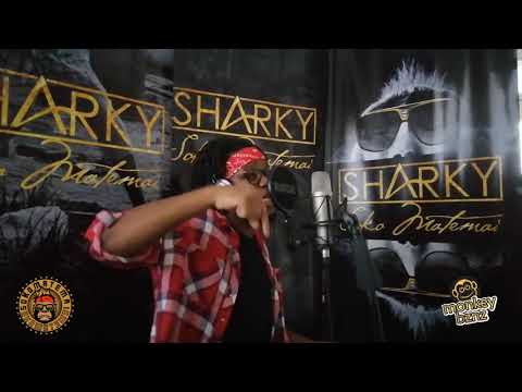 Soko Matemai - Take Back The Land