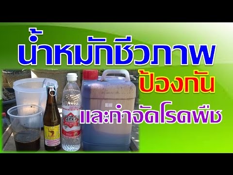วิตามินสำหรับความคิดเห็นศีรษะโรคสะเก็ดเงิน ส่องไฟสำหรับโรคสะเก็ดเงิน