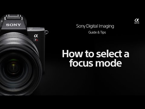 Sony | How-To's | How to select your Focus Mode