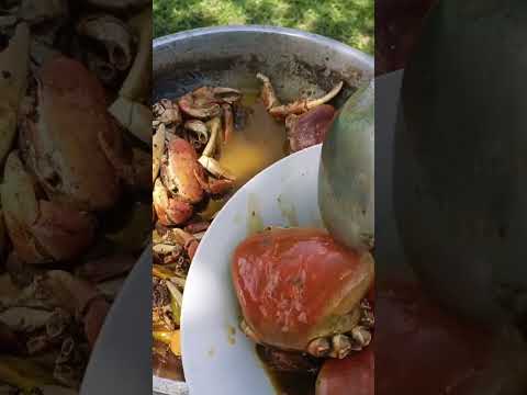 Perfectly Cooked Fresh Crabs 🦀 | Juicy Seafood Catch and Cook Secret Method