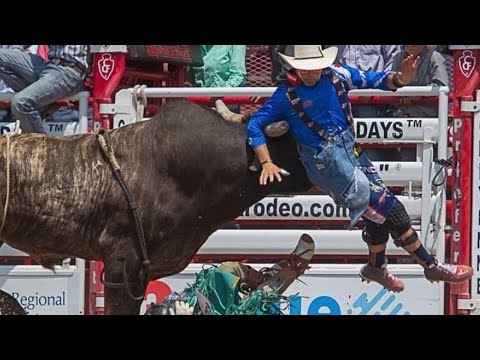 Dusty Tuckness 242  - Legendary Bull Fighter