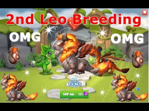 OMG 2nd Leo Breeding start | How to Breed LEO Dragon-Dragon Mania Legends | DML | HD