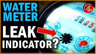 Why is My Water Bill So High? How to Read Leak Indicator on Water Meter